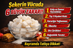 093f17d3-04b0-422c-8bd1-0594d64efdb9