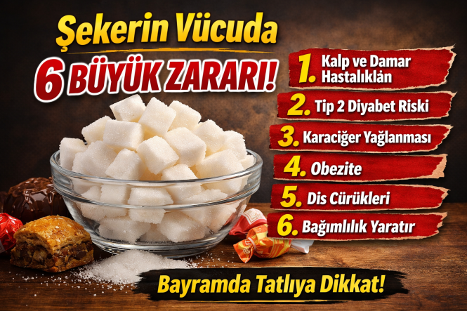093f17d3-04b0-422c-8bd1-0594d64efdb9